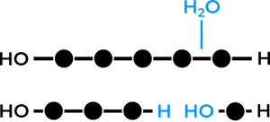 humid-filament-2